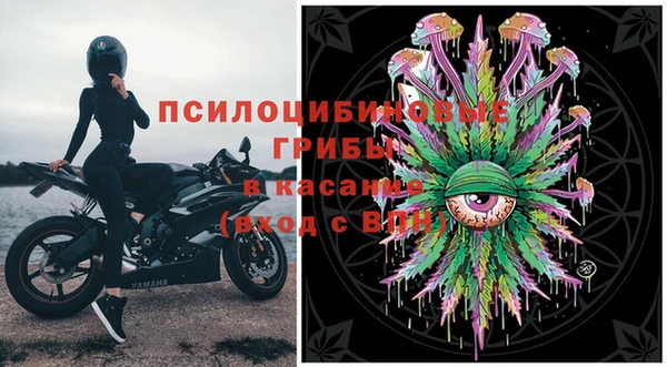 PSILOCYBIN Алексеевка