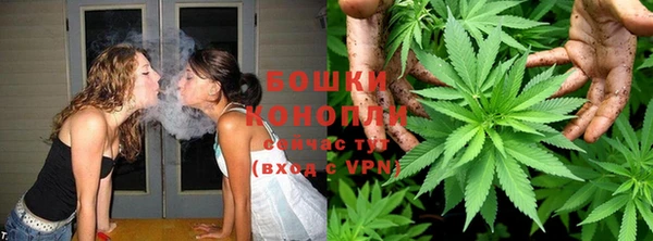PSILOCYBIN Алексеевка
