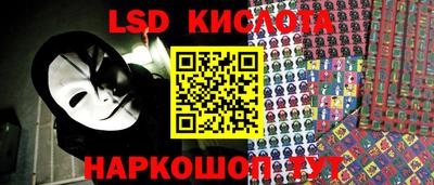 крисы Камышлов