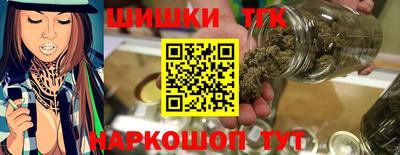 крисы Камышлов