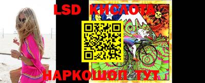 крисы Камышлов