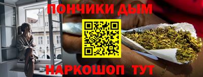 крисы Камышлов