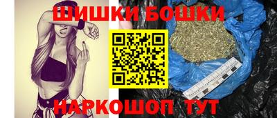 крисы Камышлов