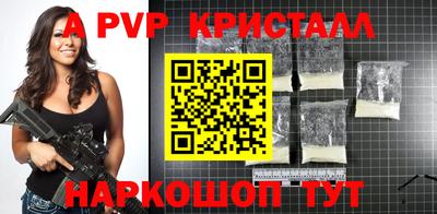 крисы Камышлов