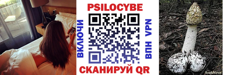 блэк спрут зеркало Магнитогорск Псилоцибиновые грибы Cubensis