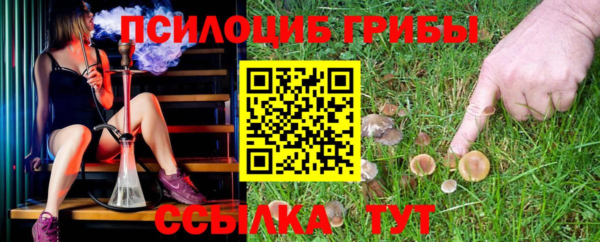 Псилоцибиновые грибы MAGIC MUSHROOMS Магнитогорск