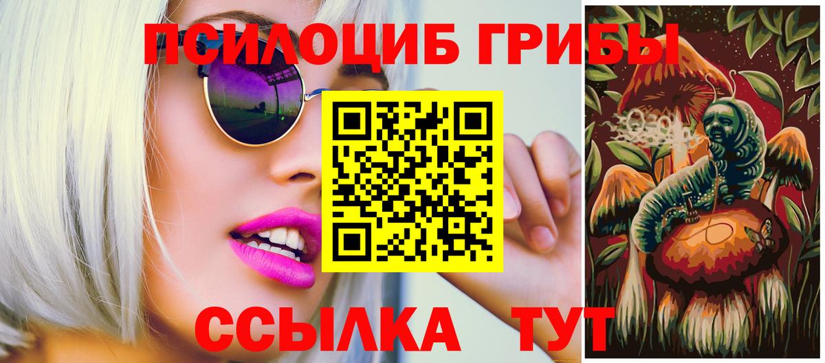 Псилоцибиновые грибы Psilocybine cubensis  Вход с VPN  Магнитогорск 